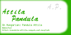 attila pandula business card